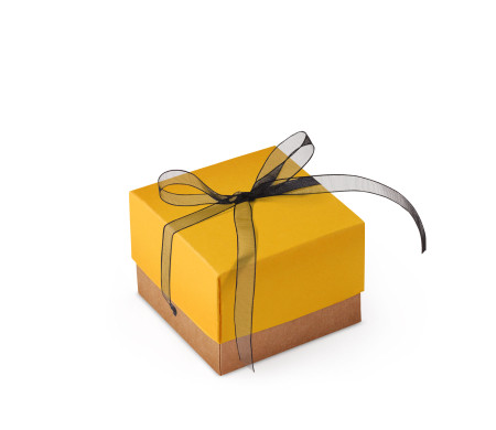 Jolie Boîte Cadeau avec Fermeture et Noeud Décoratif