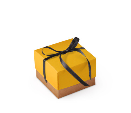 Bonita Caja Regalo con Tapa y Lazo Decorativo
