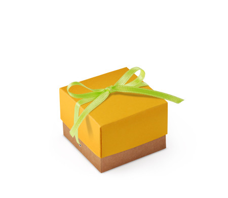 Schöne Geschenkbox mit Deckel und Schleife