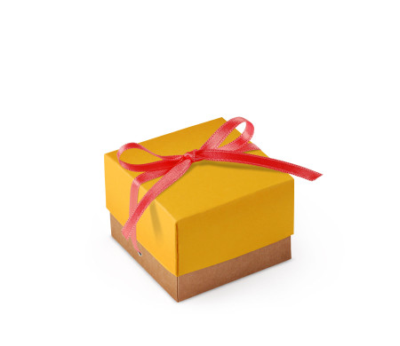 Bonita Caja Regalo con Tapa y Lazo Decorativo