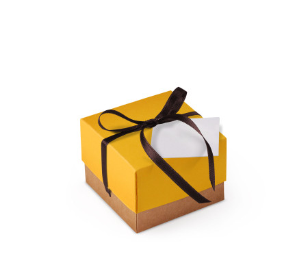 Schöne Geschenkbox mit Deckel und Schleife