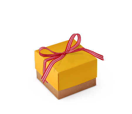 Pretty Gift Box with Lid and Decorative Bow