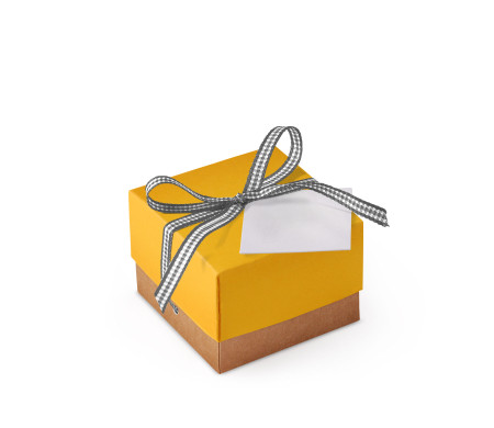 Pretty Gift Box with Lid and Decorative Bow