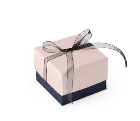 Bonita Caja Regalo con Tapa y Lazo Decorativo