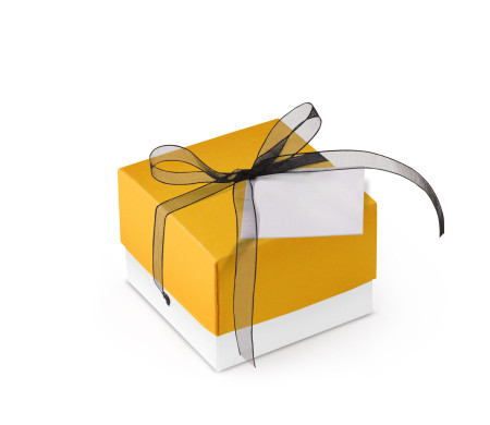 Bonita Caja Regalo con Tapa y Lazo Decorativo