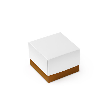 Bonita Caja Regalo con Tapa y Lazo Decorativo