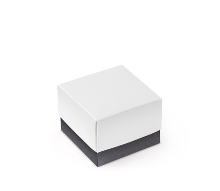 Bonita Caja Regalo con Tapa y Lazo Decorativo