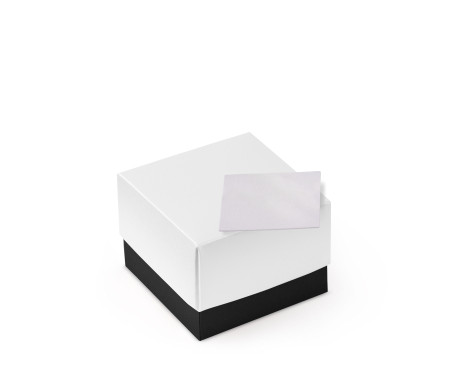 Schöne Geschenkbox mit Deckel und Schleife