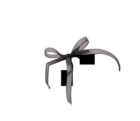 Schöne Geschenkbox mit Deckel und Schleife