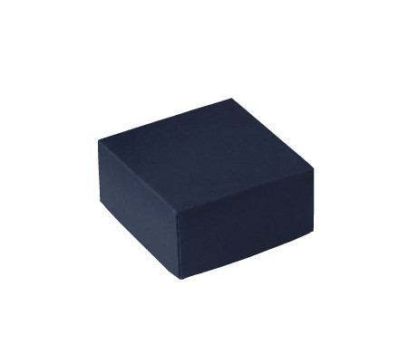 Bonita Caja Regalo con Tapa y Lazo Decorativo