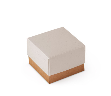 Schöne Geschenkbox mit Deckel und Schleife