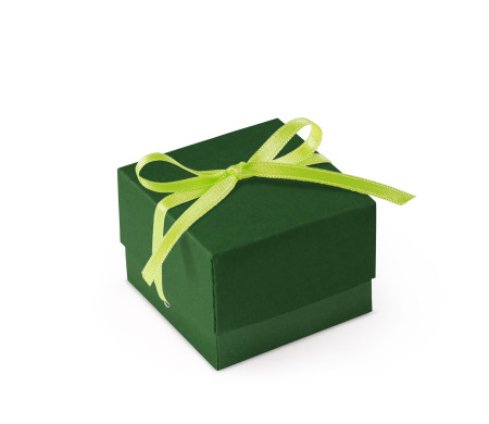 Graziosa Scatola Regalo con Coperchio e Fiocco Decorativo 