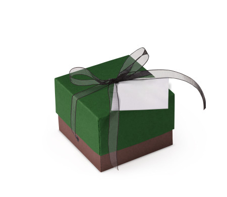 Graziosa Scatola Regalo con Coperchio e Fiocco Decorativo 