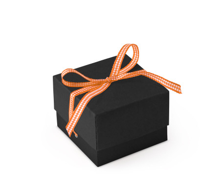 Schöne Geschenkbox mit Deckel und Schleife