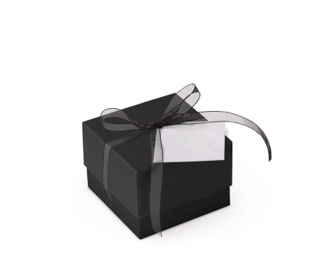 Bonita Caja Regalo con Tapa y Lazo Decorativo