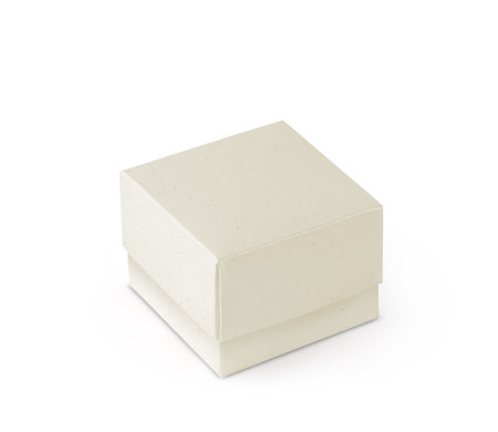 Schöne Geschenkbox mit Deckel und Schleife
