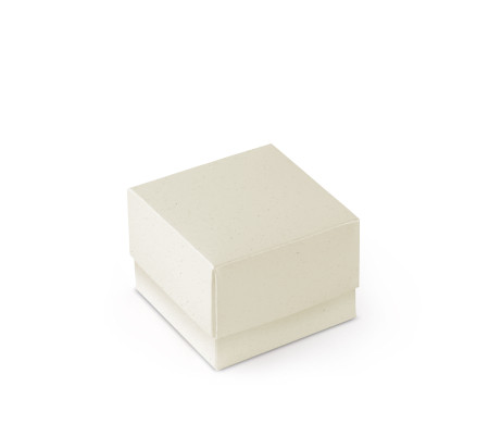 Schöne Geschenkbox mit Deckel und Schleife