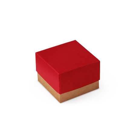 Pretty Gift Box with Lid and Decorative Bow