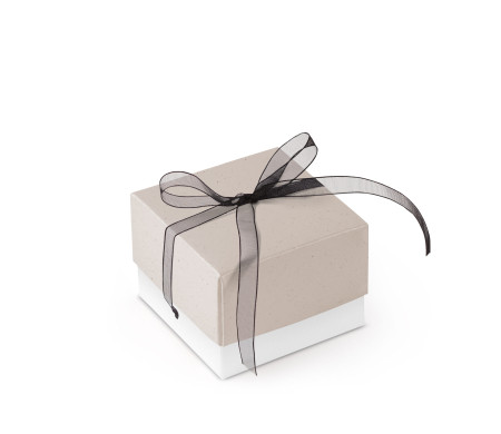 Bonita Caja Regalo con Tapa y Lazo Decorativo