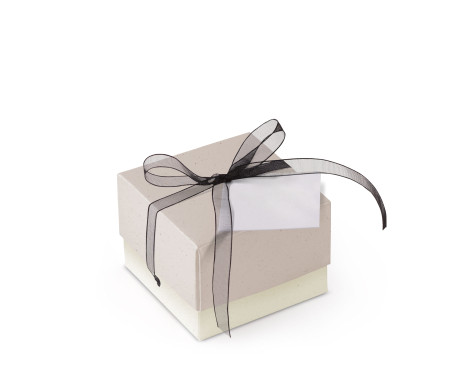 Schöne Geschenkbox mit Deckel und Schleife