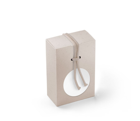 Cardboard Gift Box with a Very Original Fastener