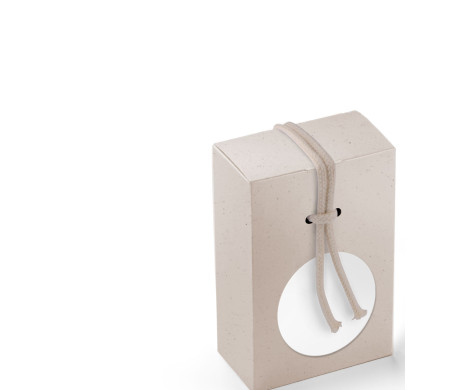 Cardboard Gift Box with a Very Original Fastener