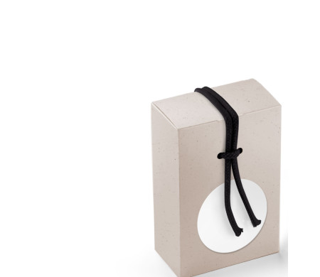 Scatola Regalo in Cartone con Un'Originalissima Chiusura