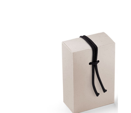Cardboard Gift Box with a Very Original Fastener