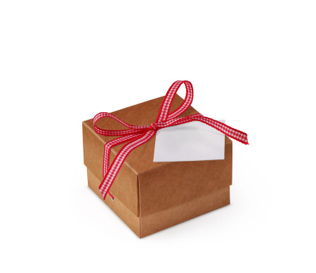 Graziosa Scatola Regalo con Coperchio e Fiocco Decorativo 