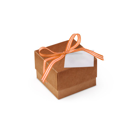 Bonita Caja Regalo con Tapa y Lazo Decorativo