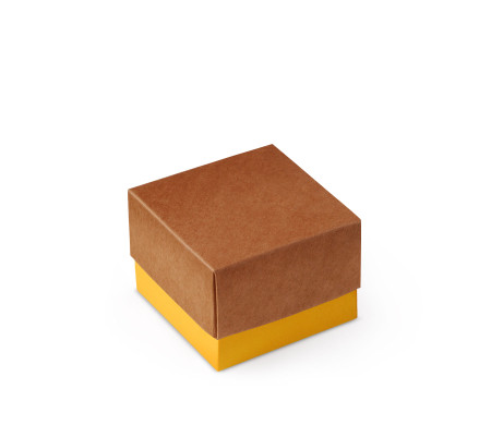 Bonita Caja Regalo con Tapa y Lazo Decorativo