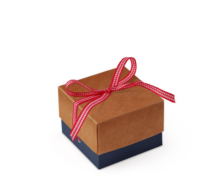 Graziosa Scatola Regalo con Coperchio e Fiocco Decorativo 