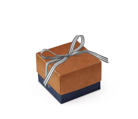 Bonita Caja Regalo con Tapa y Lazo Decorativo