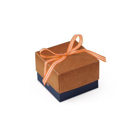 Bonita Caja Regalo con Tapa y Lazo Decorativo