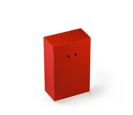Cardboard Gift Box with a Very Original Fastener