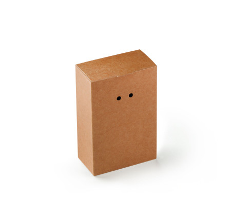 Caja Regalo de Cartón con Un Cierre Muy Original