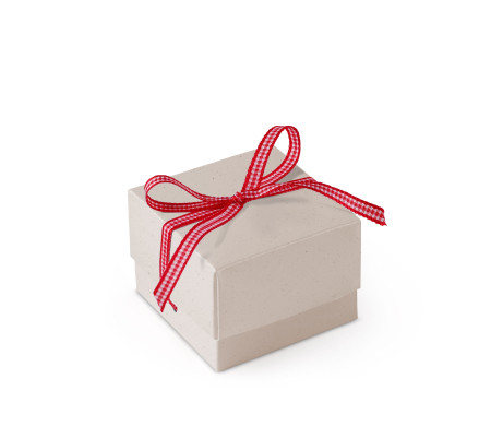 Schöne Geschenkbox mit Deckel und Schleife