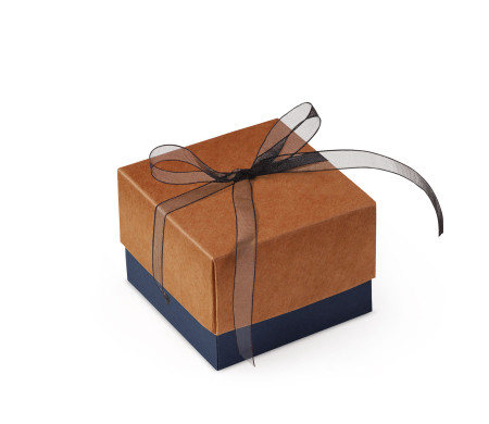 Jolie Boîte Cadeau avec Fermeture et Noeud Décoratif