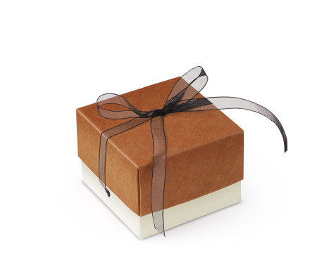 Schöne Geschenkbox mit Deckel und Schleife