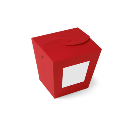 Chinese Noodle Box