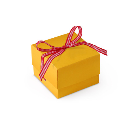 Graziosa Scatola Regalo con Coperchio e Fiocco Decorativo 