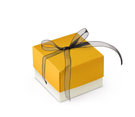 Graziosa Scatola Regalo con Coperchio e Fiocco Decorativo 