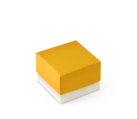 Bonita Caja Regalo con Tapa y Lazo Decorativo