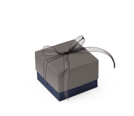Bonita Caja Regalo con Tapa y Lazo Decorativo