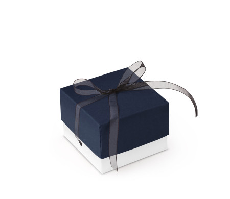 Jolie Boîte Cadeau avec Fermeture et Noeud Décoratif