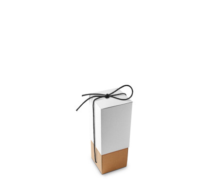 Kartonschachtel für Flaschen, ideal für Geschenke.