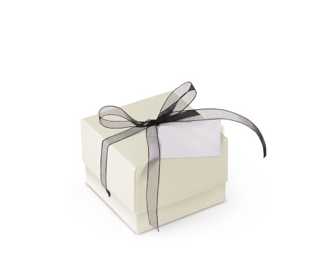 Schöne Geschenkbox mit Deckel und Schleife