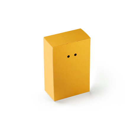 Caja Regalo de Cartón con Un Cierre Muy Original
