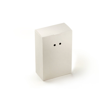 Boîte Cadeau en Carton avec Fermeture Originale