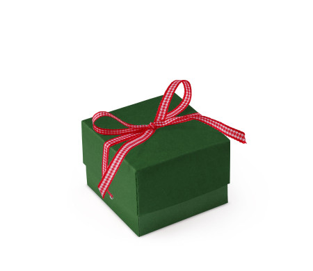 Bonita Caja Regalo con Tapa y Lazo Decorativo